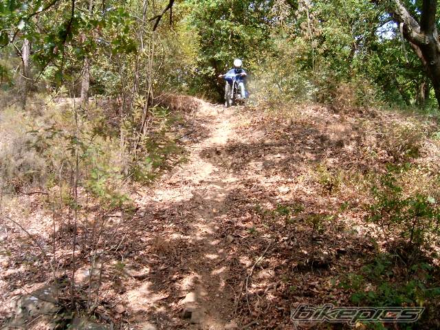 Photo 393601