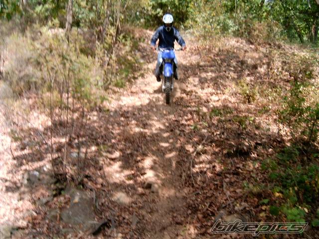 Photo 393603