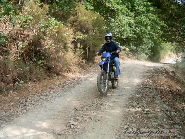 Photo 393611
