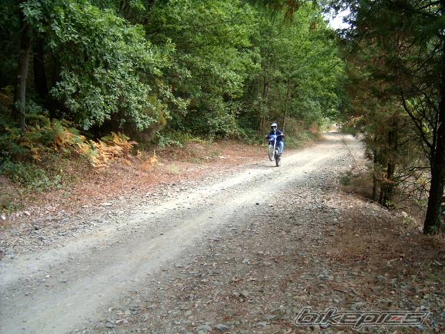 Photo 393613