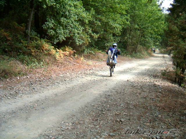 Photo 393615