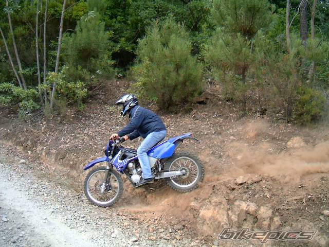 Photo 393616