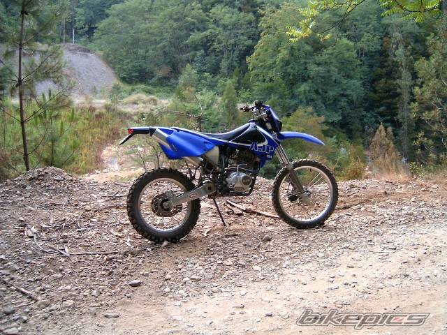 Photo 393620