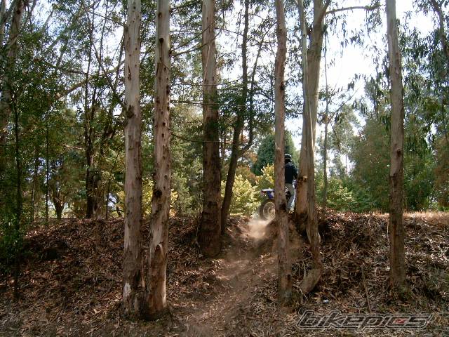 Photo 393622