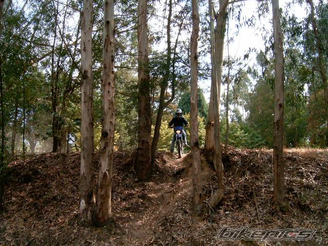 Bike Photo 393623