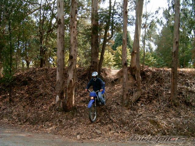 Bike Photo 393624