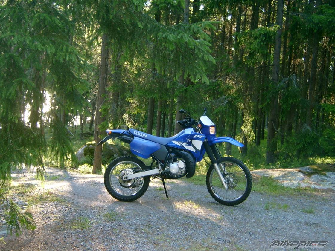 Bike Photo 393646