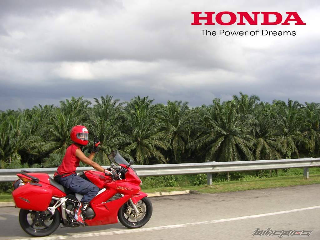 Bike Photo 393664