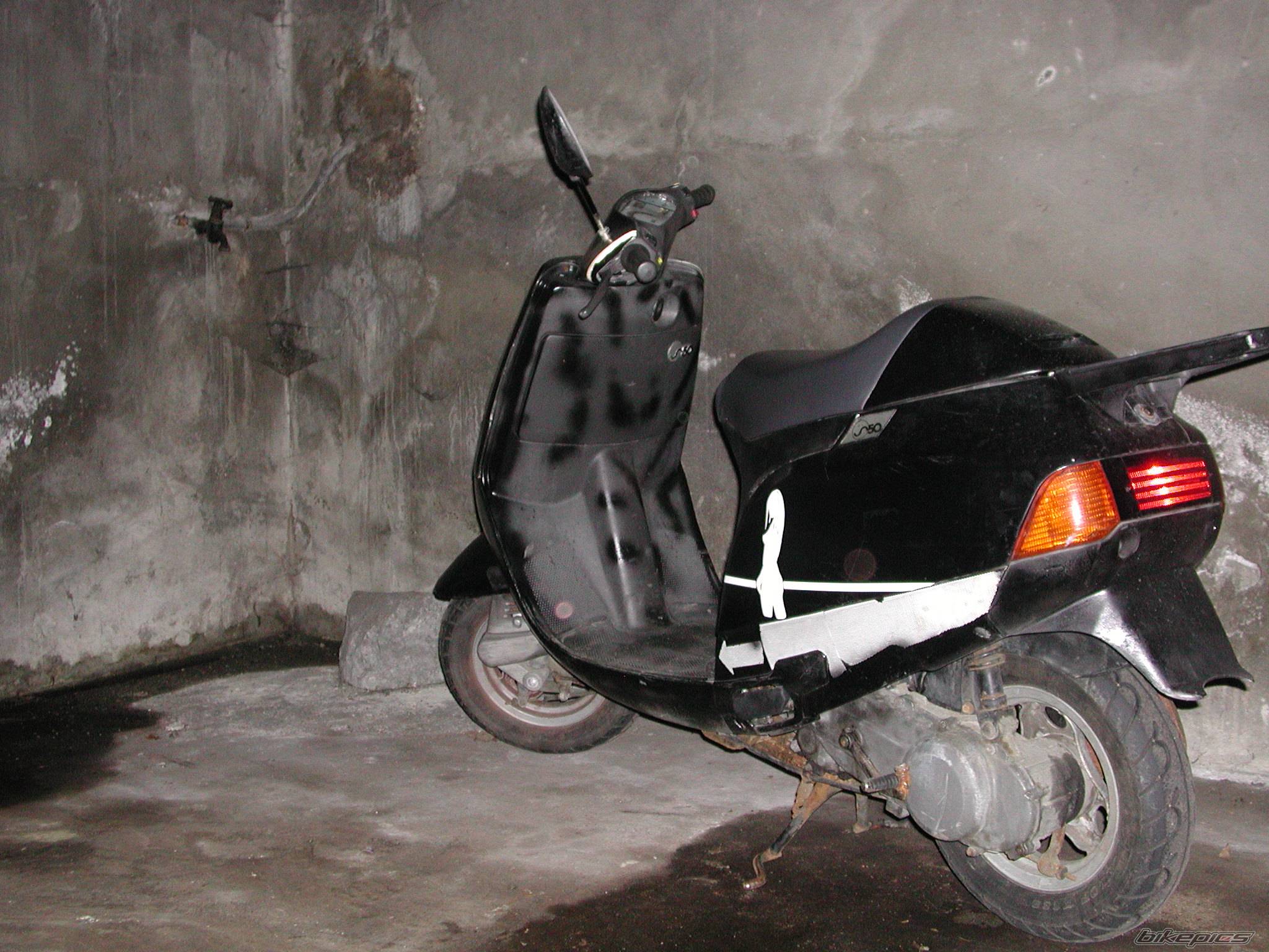 Photo 393733