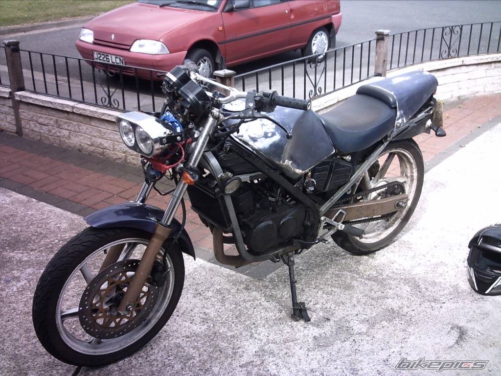 Photo 393743