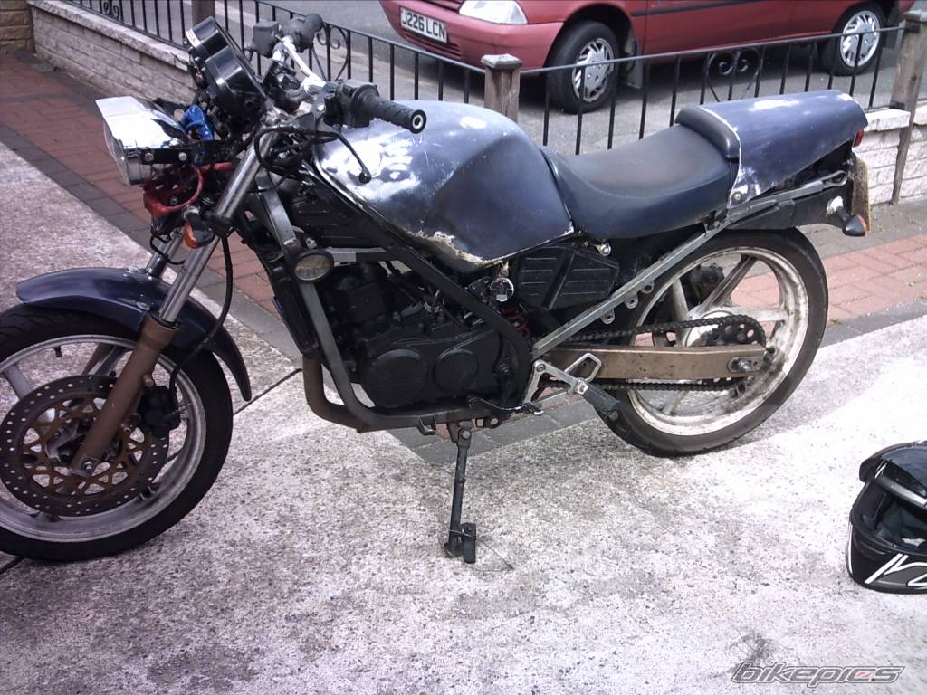 Photo 393744