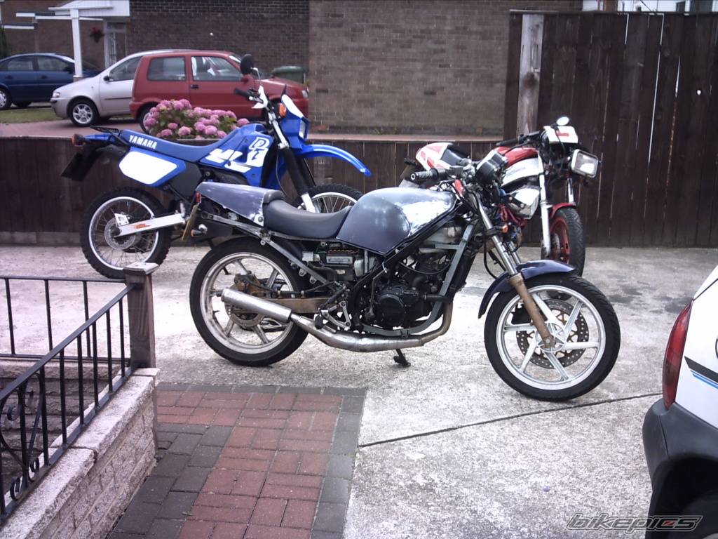 Photo 393745