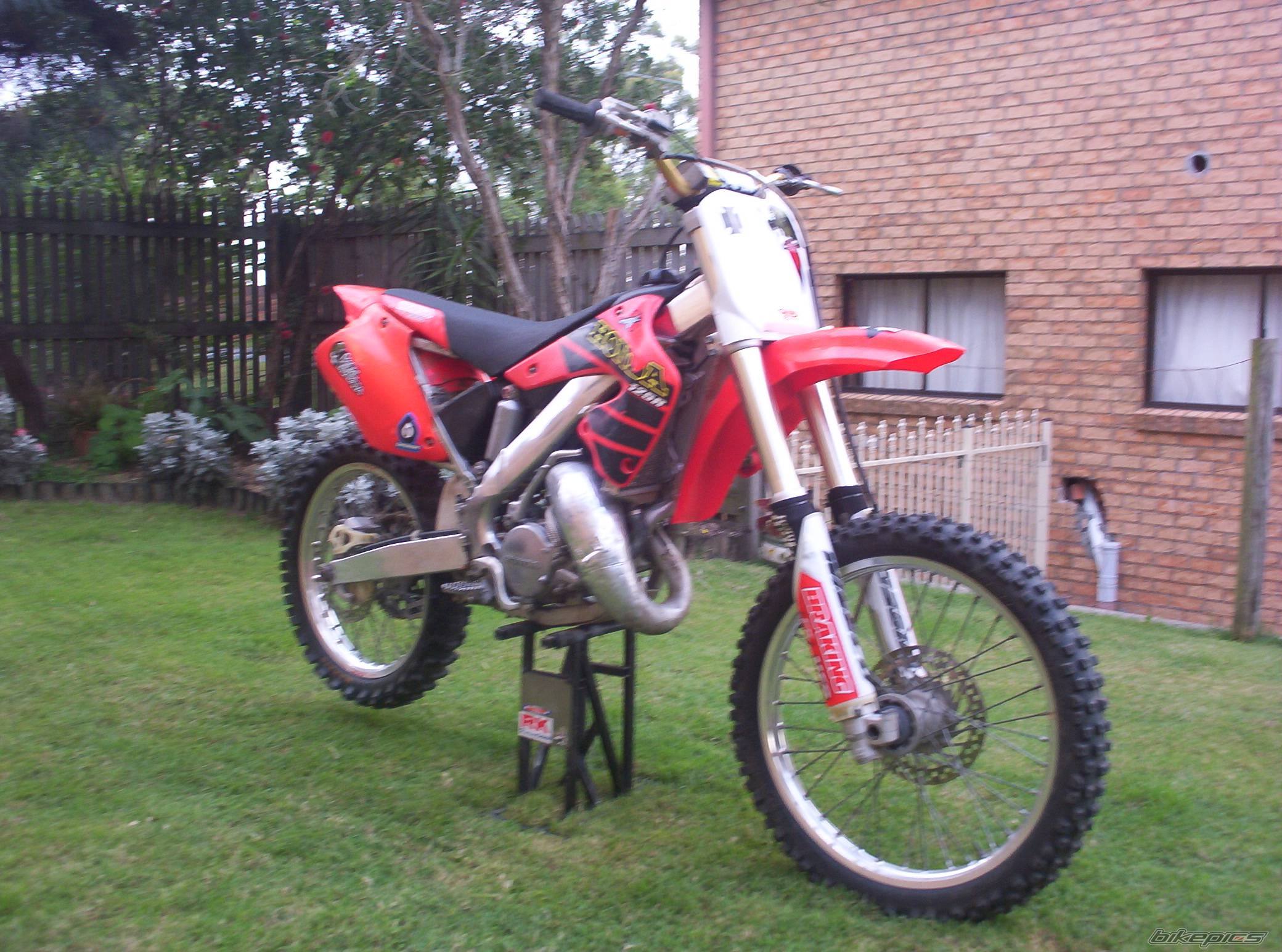 Photo 393790