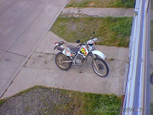 Photo 393820