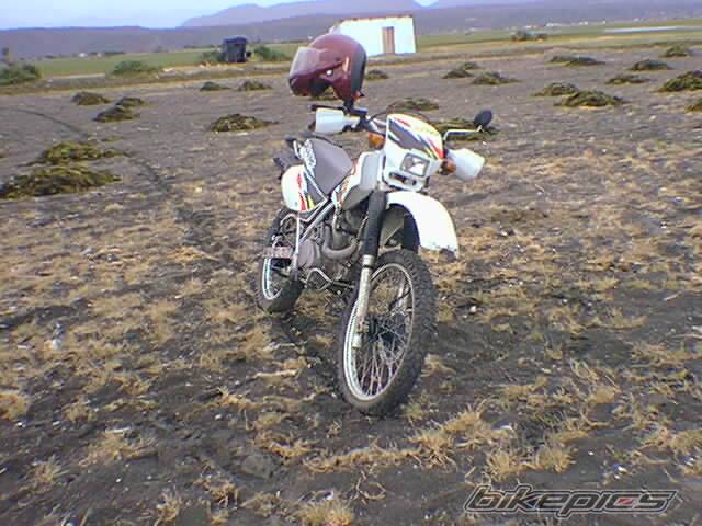 Photo 393822