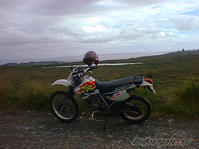 Photo 393824