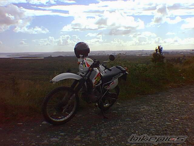 Photo 393825