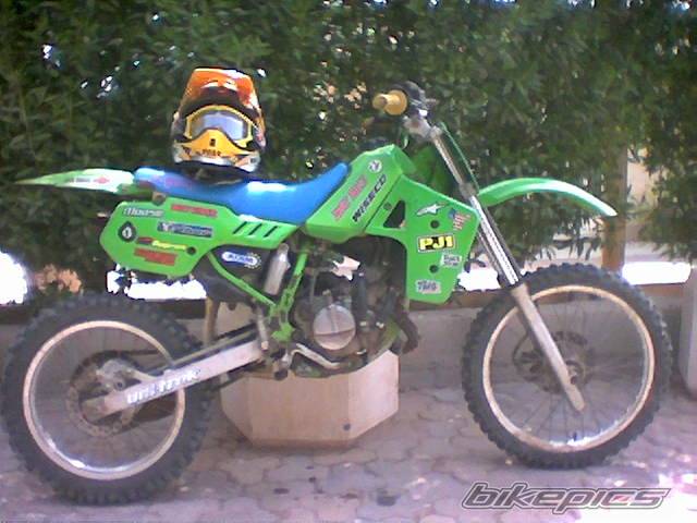 Photo 393832