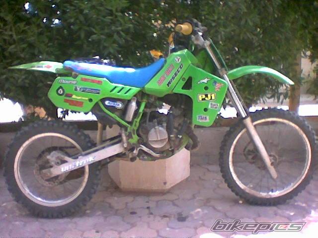 Photo 393833