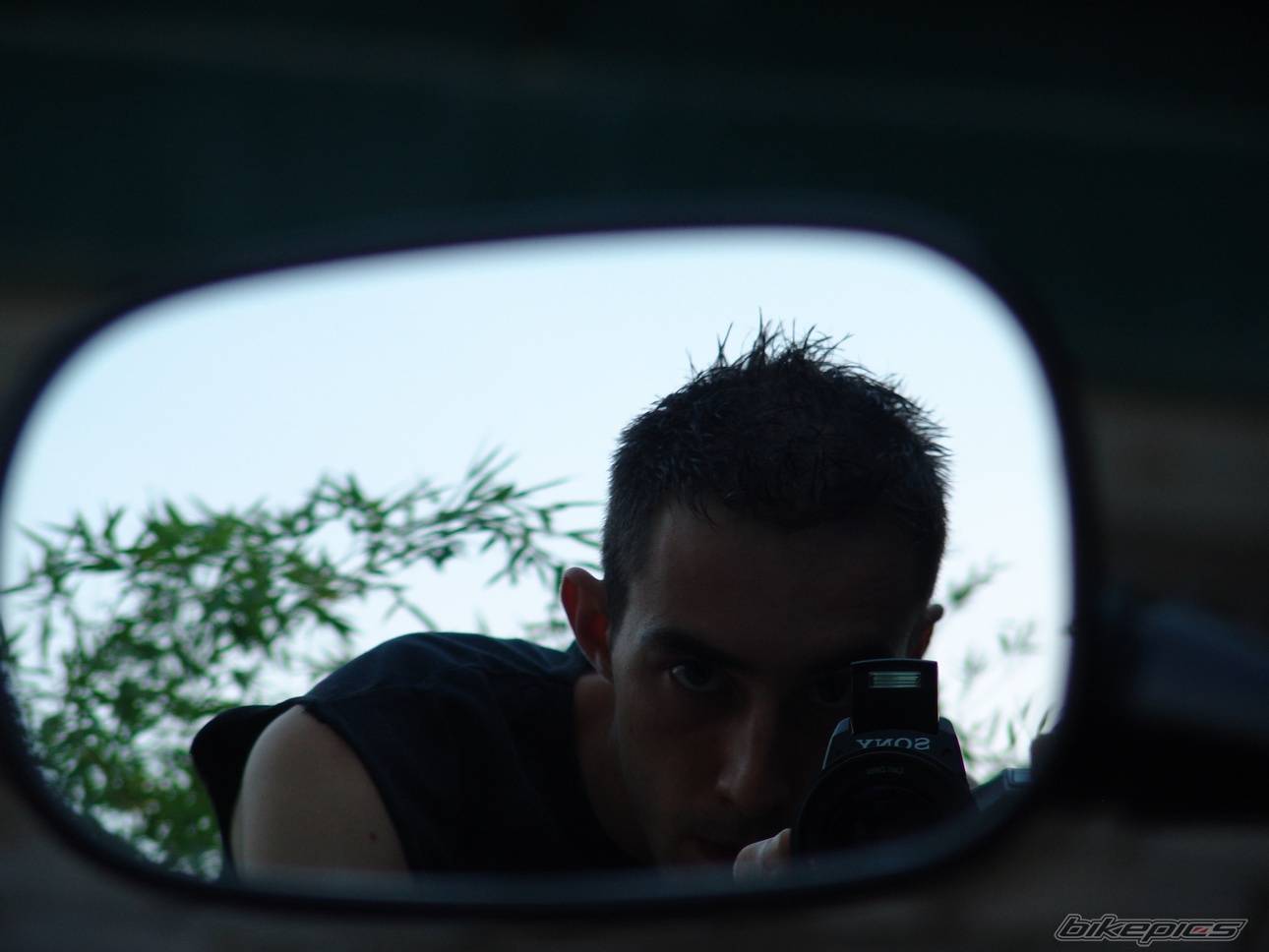 Photo 393901