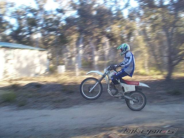 Bike Photo 39391
