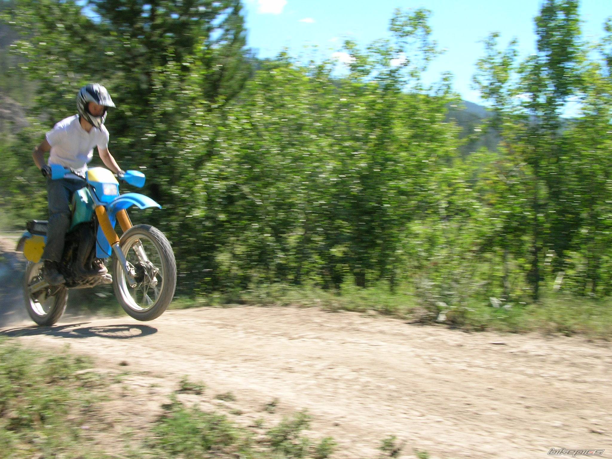 Photo 393911