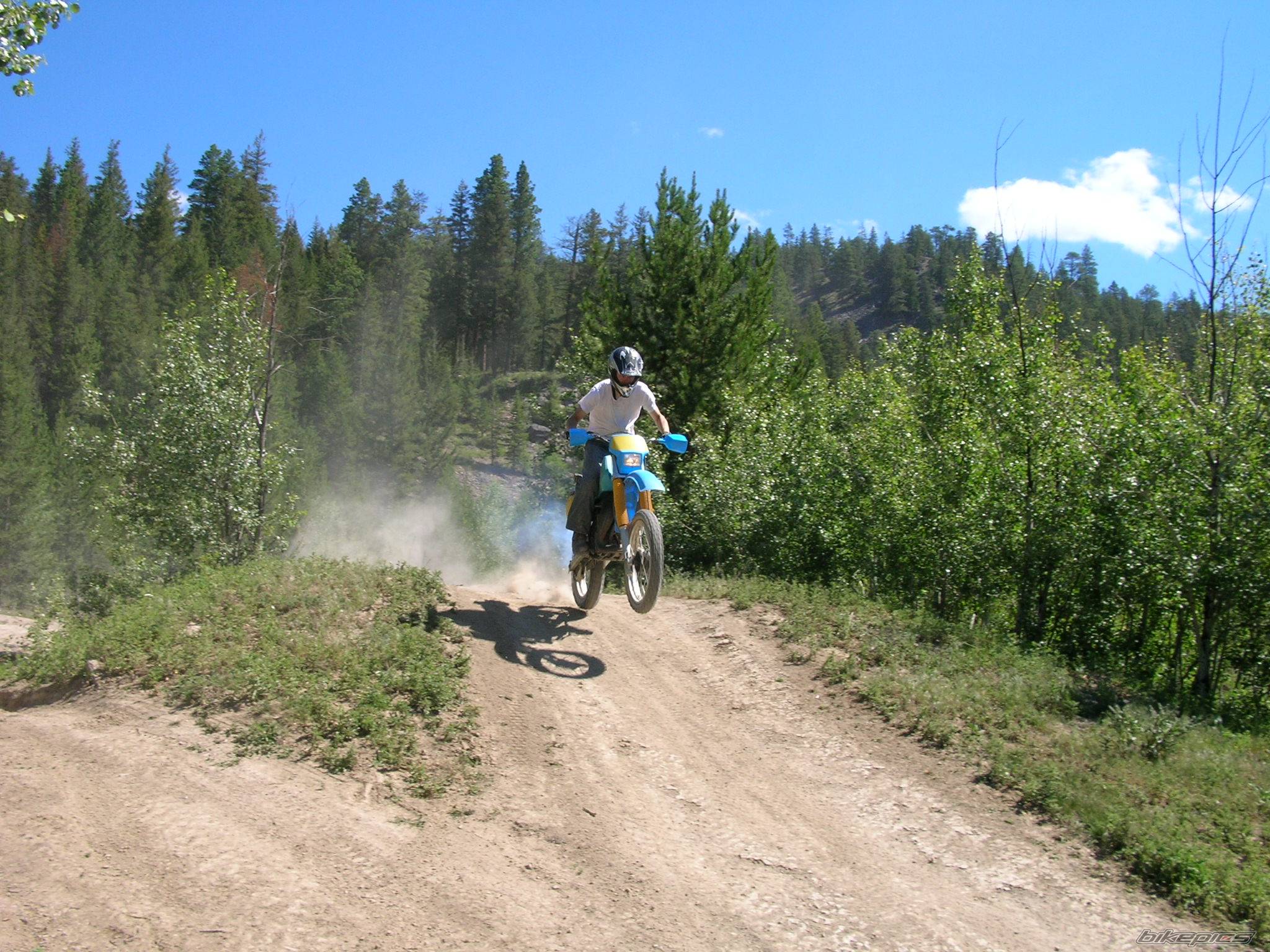 Photo 393915
