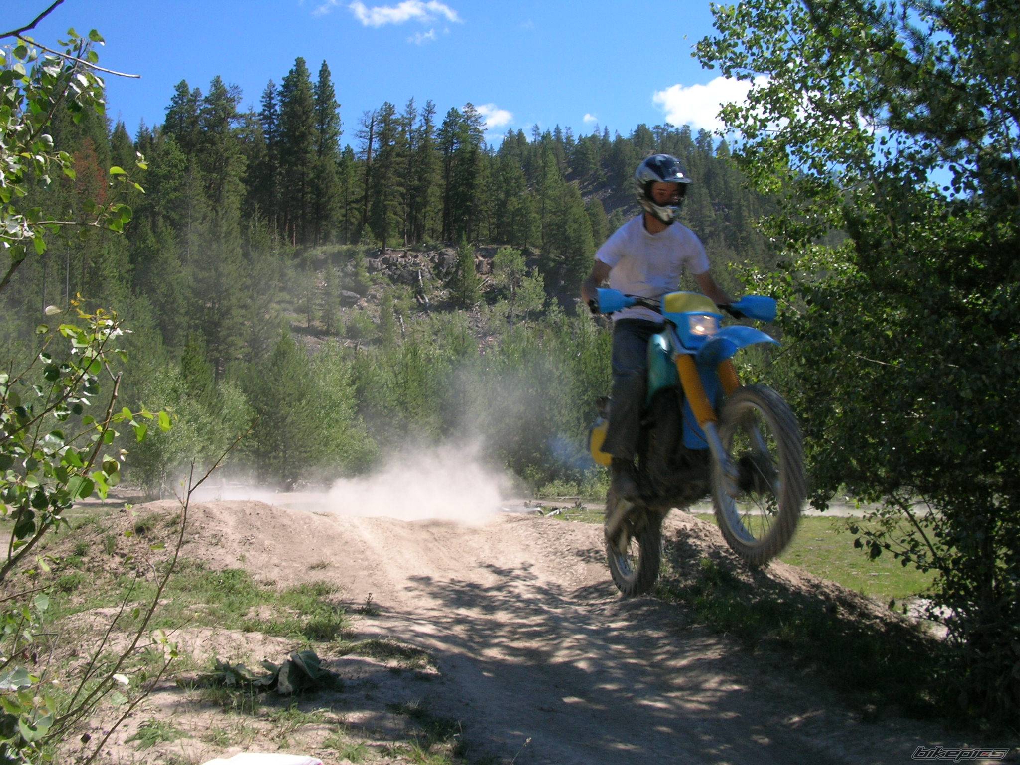 Photo 393916