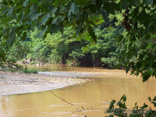Photo 393957