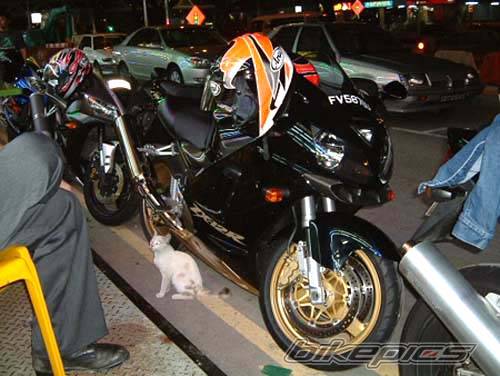 Bike Photo 39420