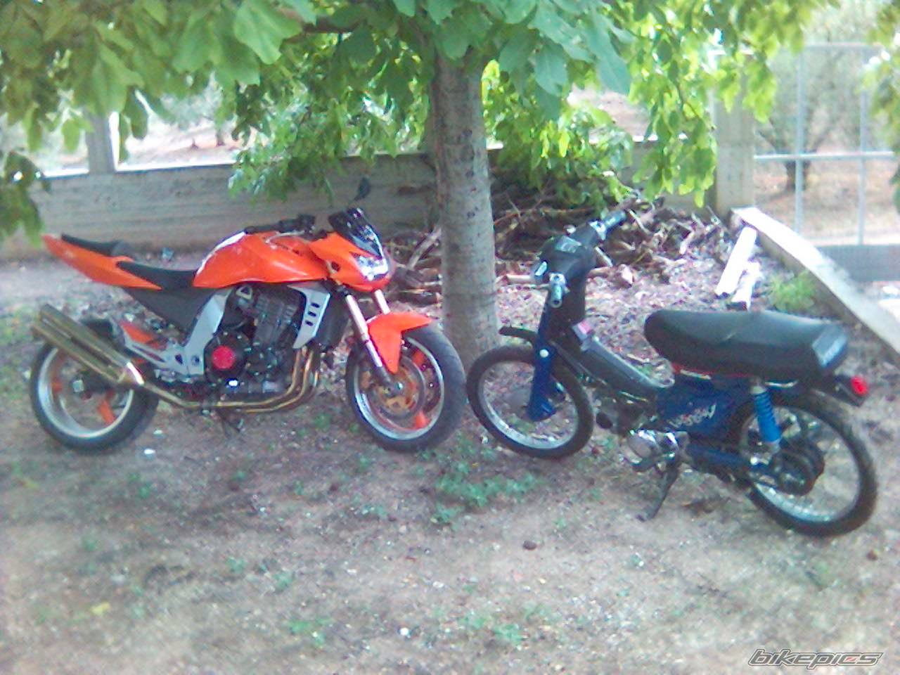 Photo 394379