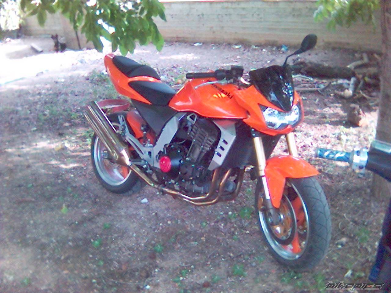 Photo 394385