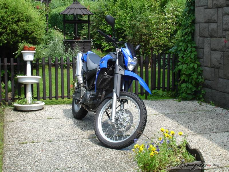 Bike Photo 394526