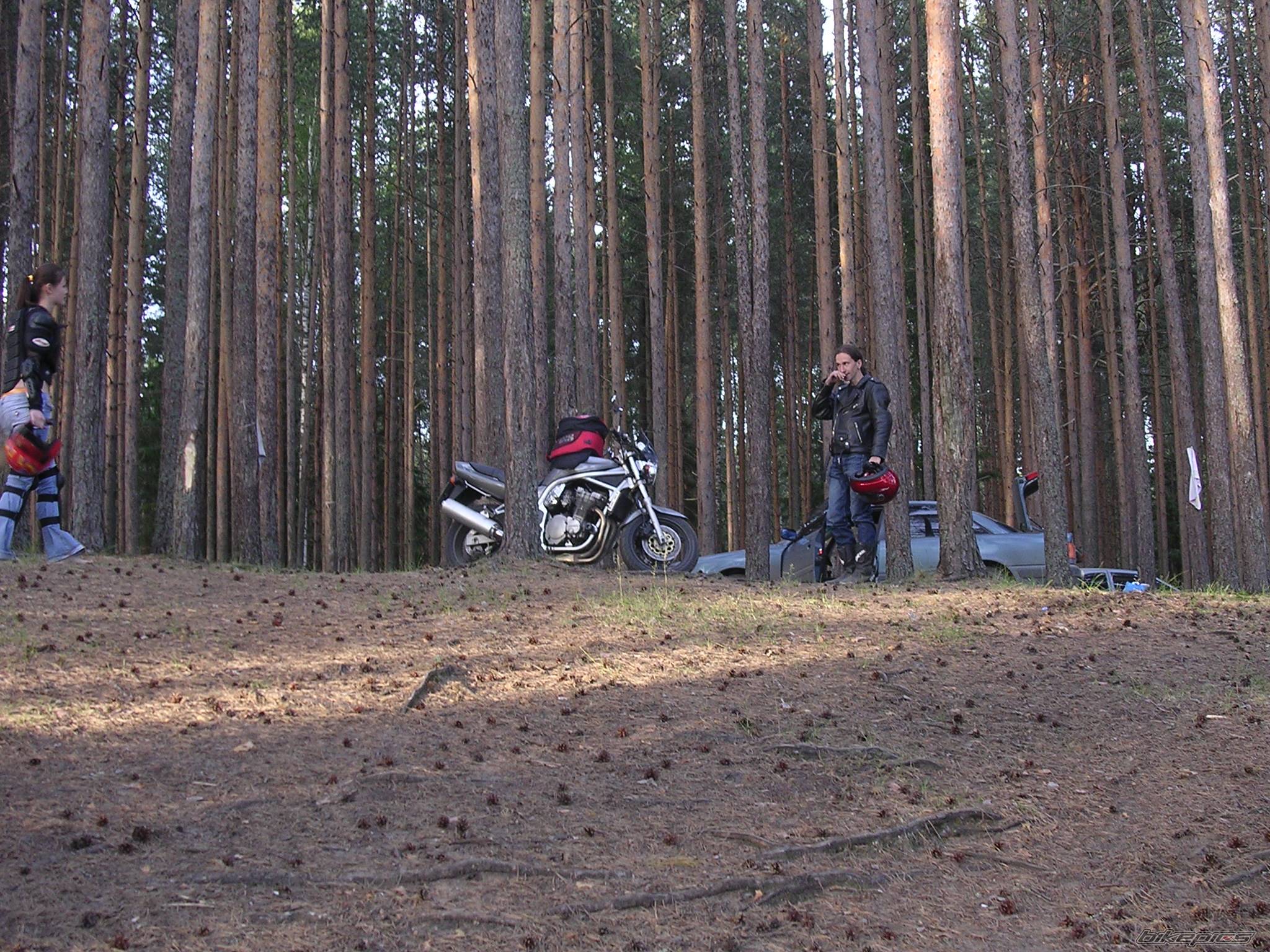 Photo 394683
