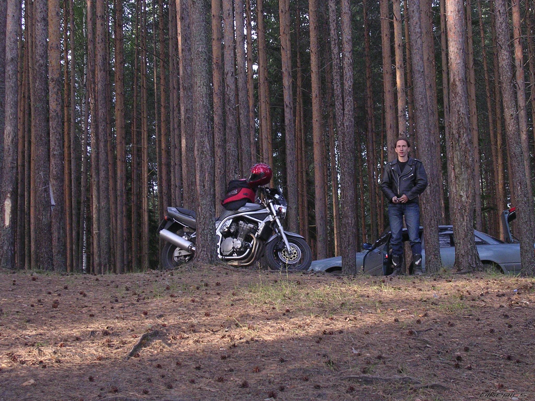 Photo 394684