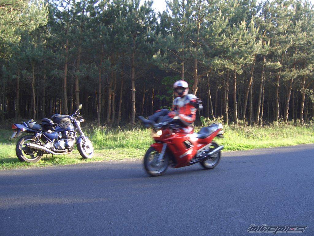 Photo 394718