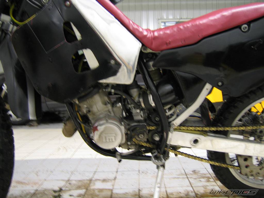 Photo 394733