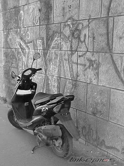 Photo 394832