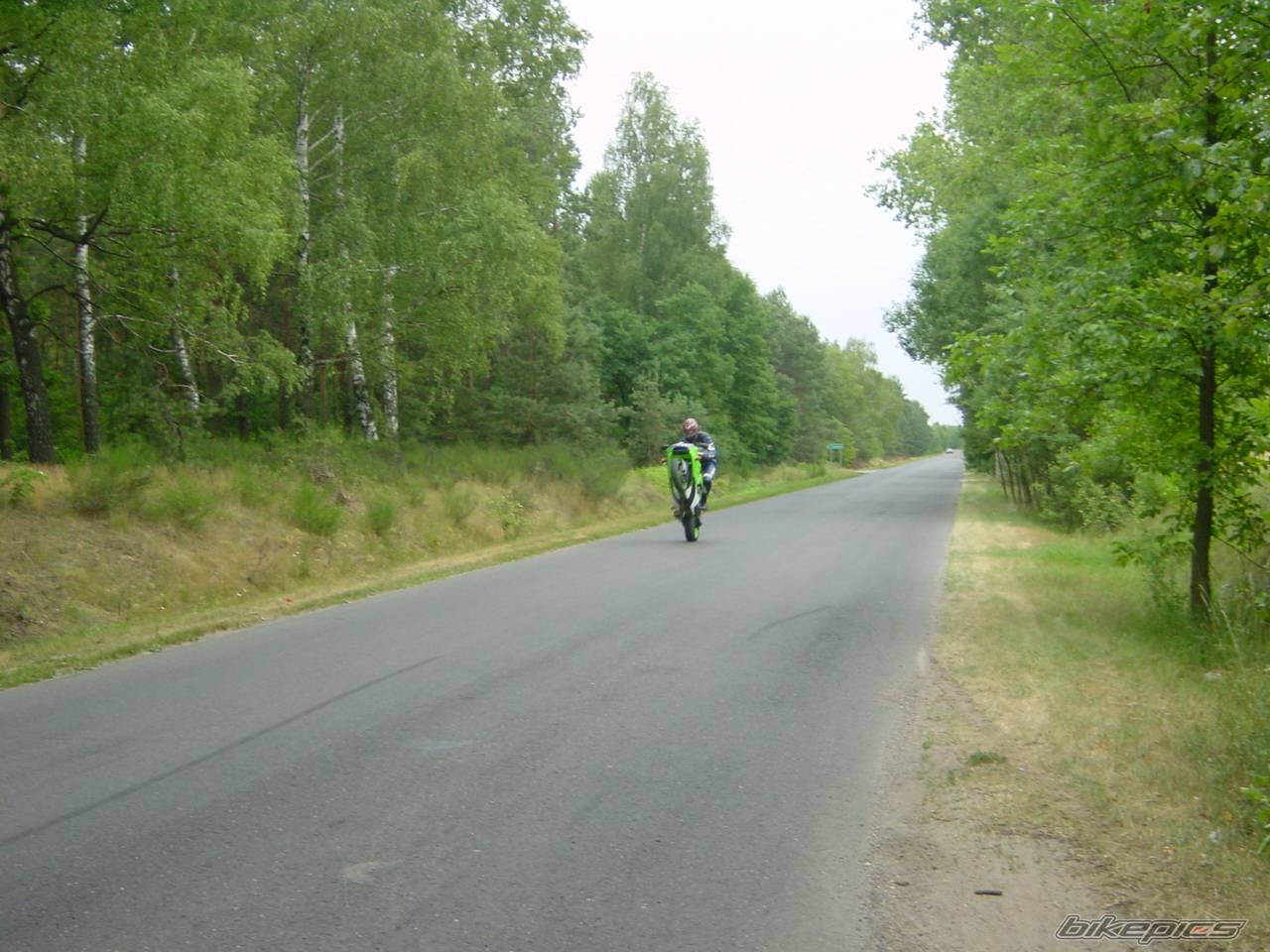 Photo 395036