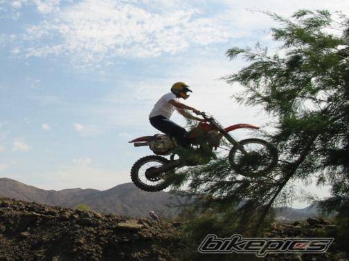 Bike Photo 39524