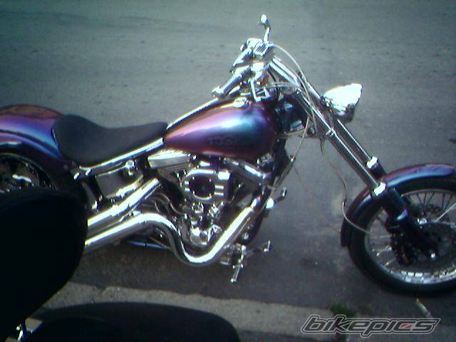 Photo 395330