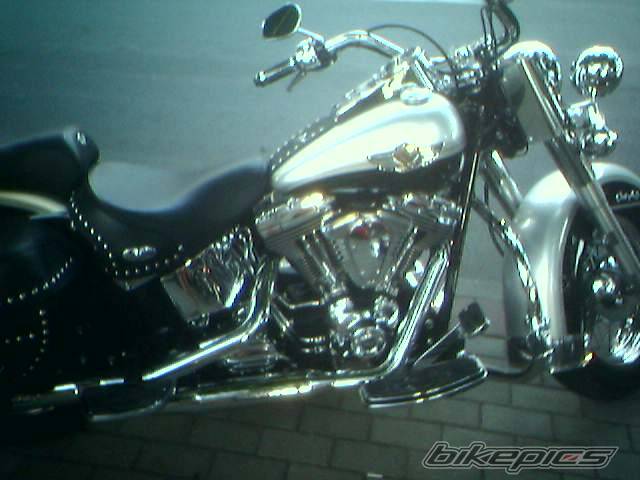 Photo 395339