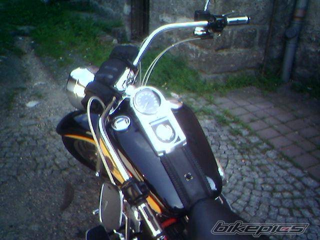Photo 395345