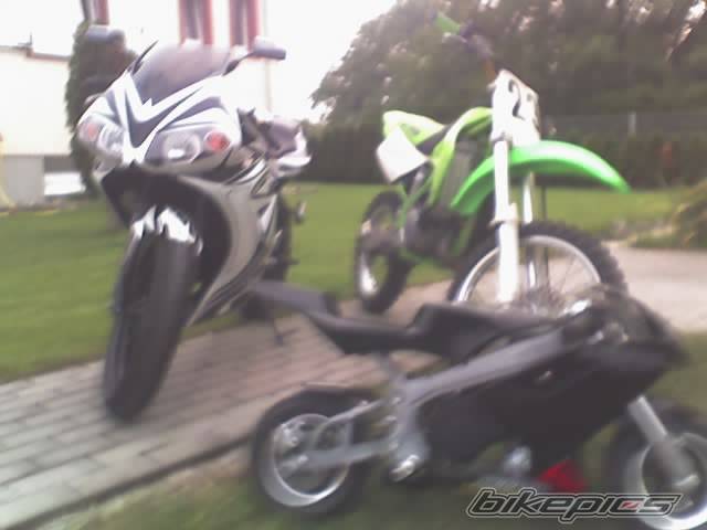 Photo 395386