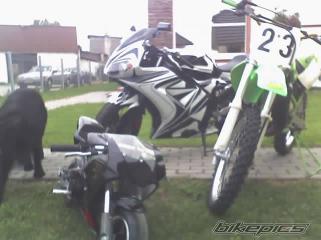 Photo 395390