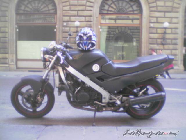 Photo 395473