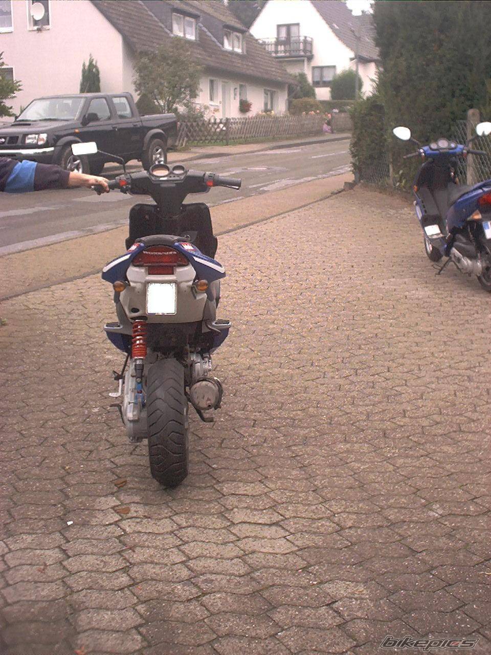 Photo 39555