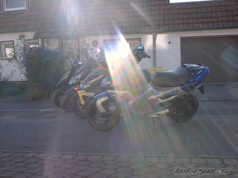 Photo 39561