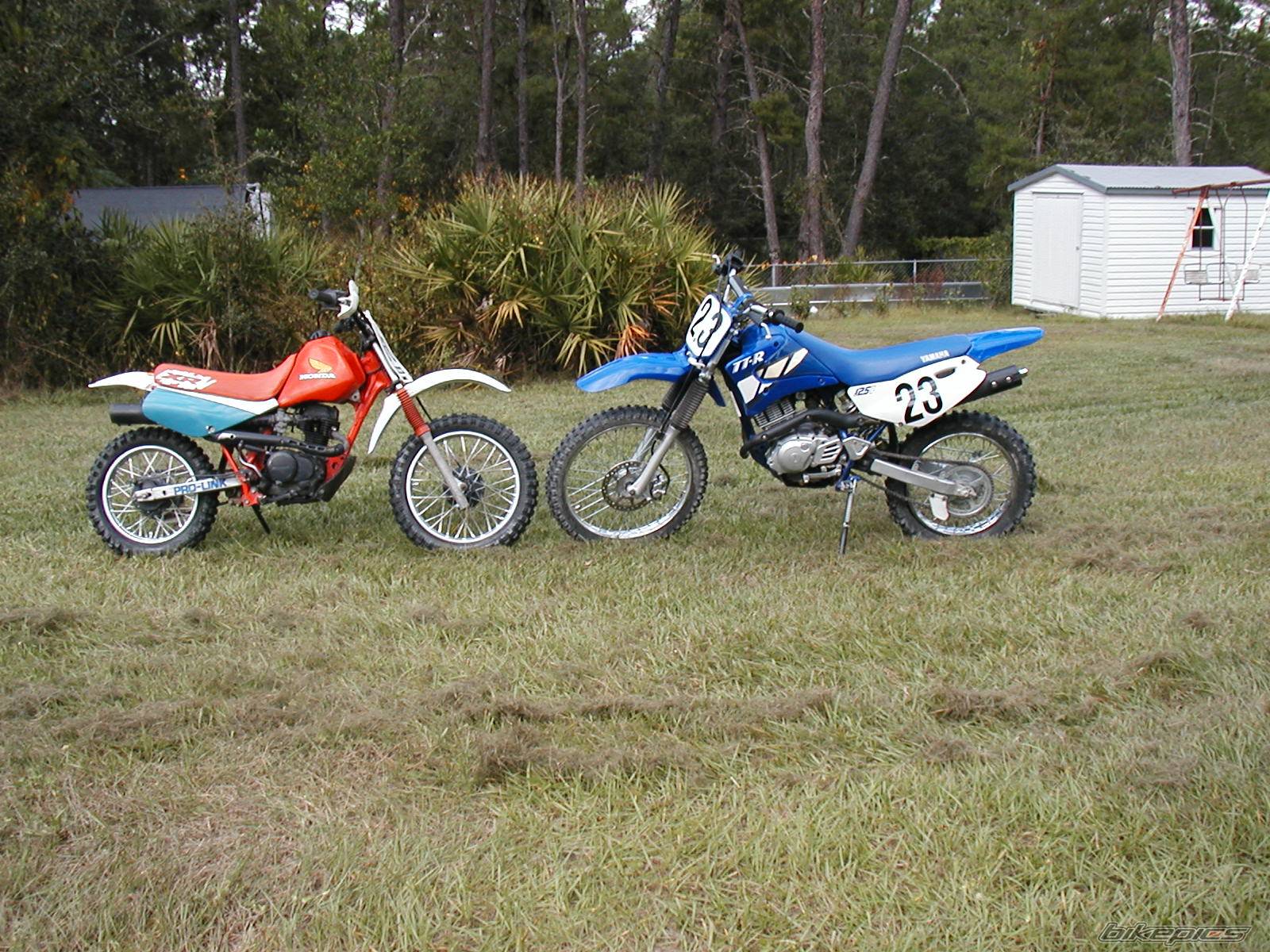 Photo 395701