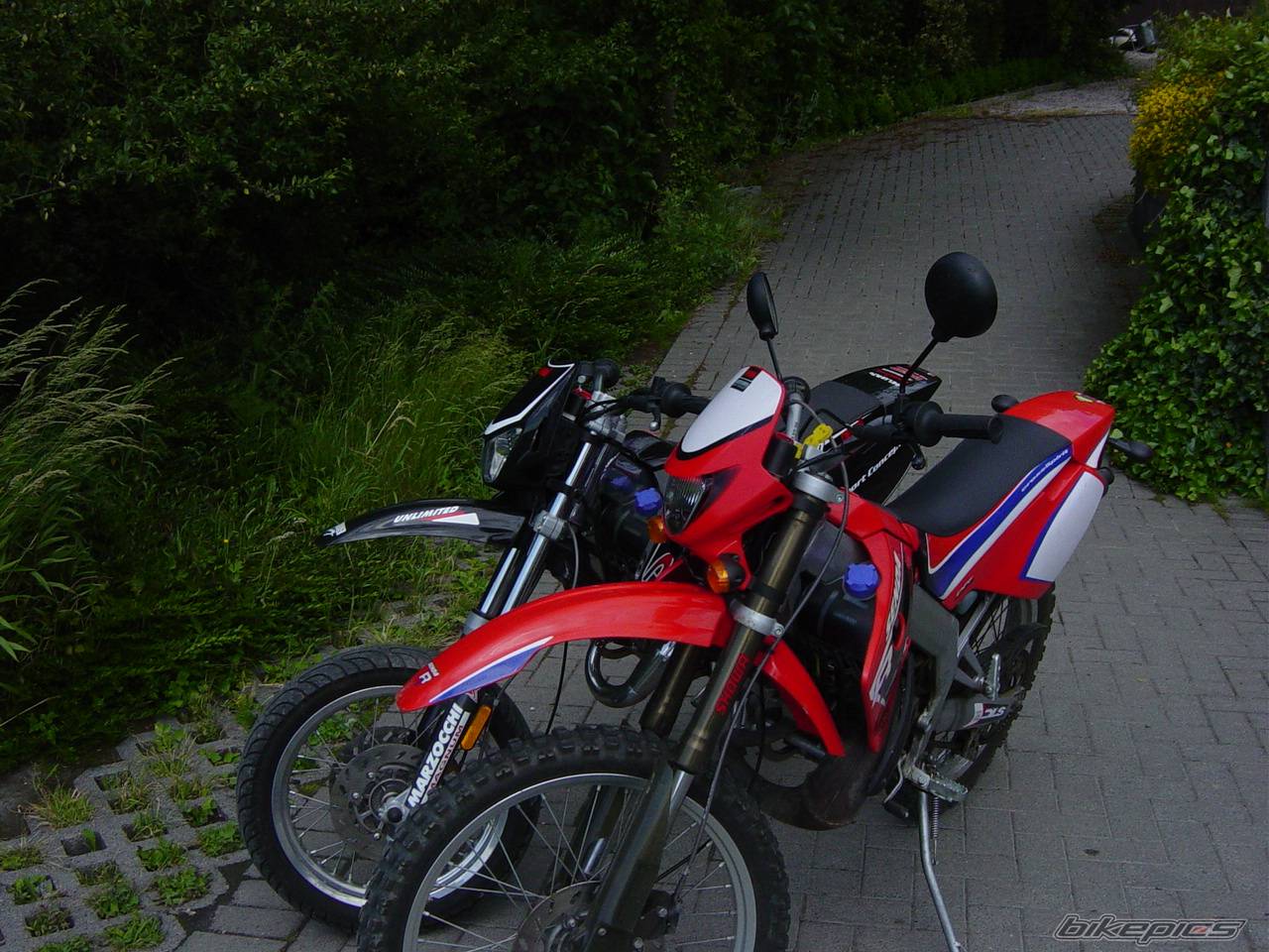 Photo 395773